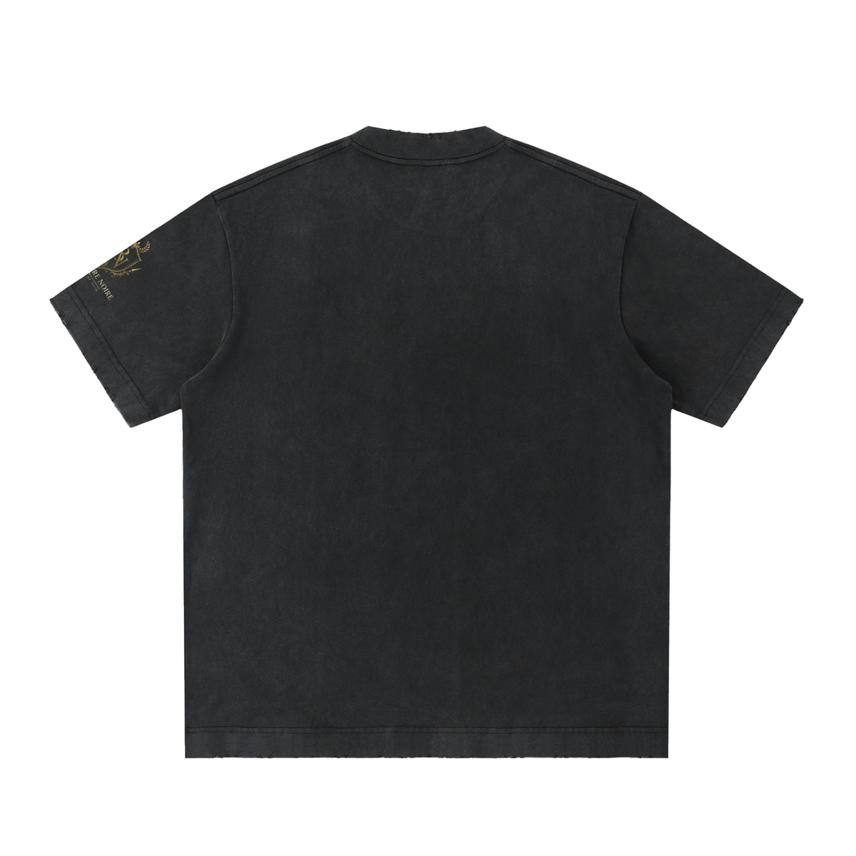 Belvedere Noire Heavyweight Vintage Washed Frayed T-Shirt in black, back view