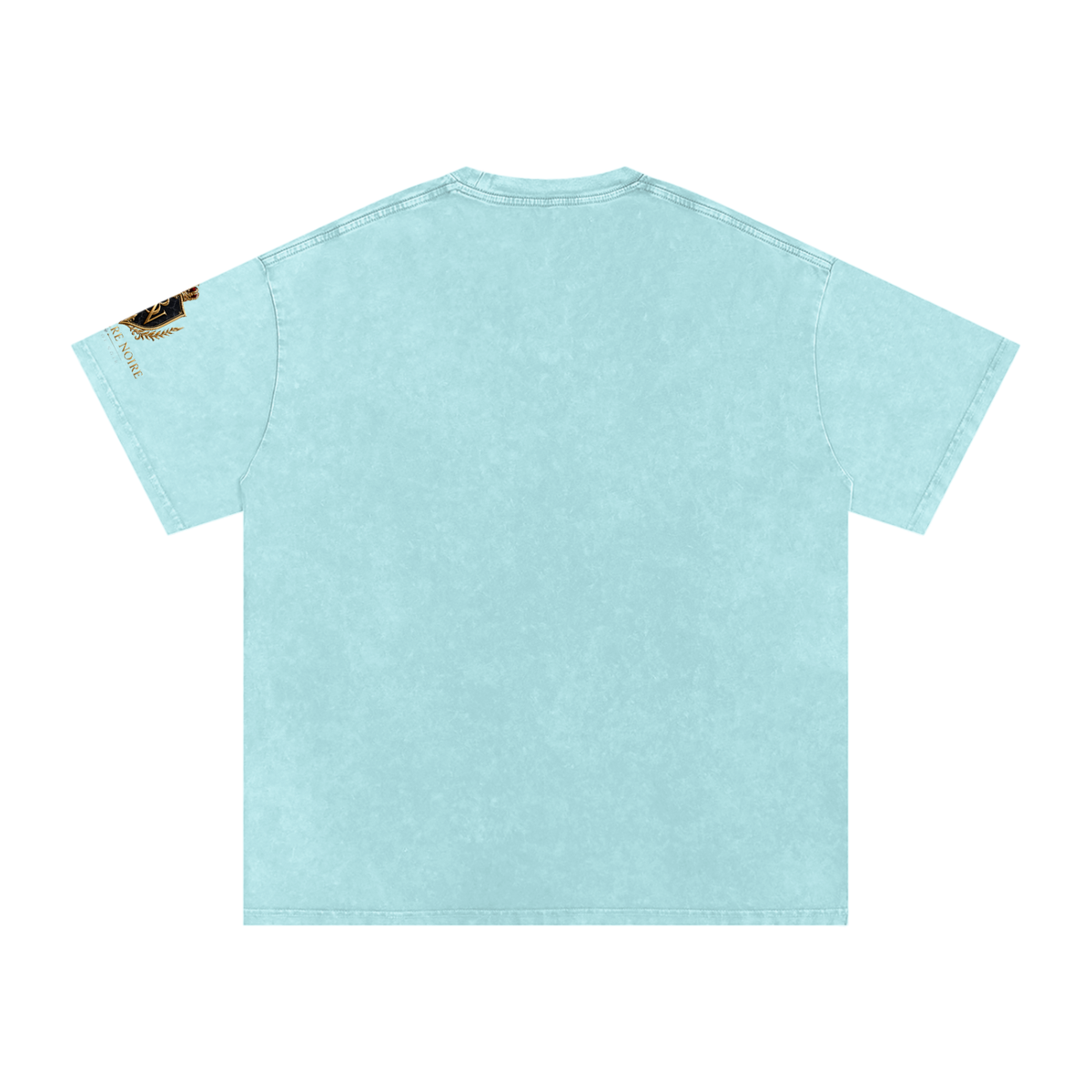Belvedere Noire Snow Washed Oversized Cotton T-Shirt, 250gsm tee, back view