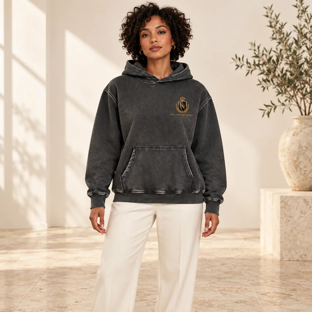 BELVEDERE NOIRE Charcoal washed hoodie, studio front view, AI product mockup