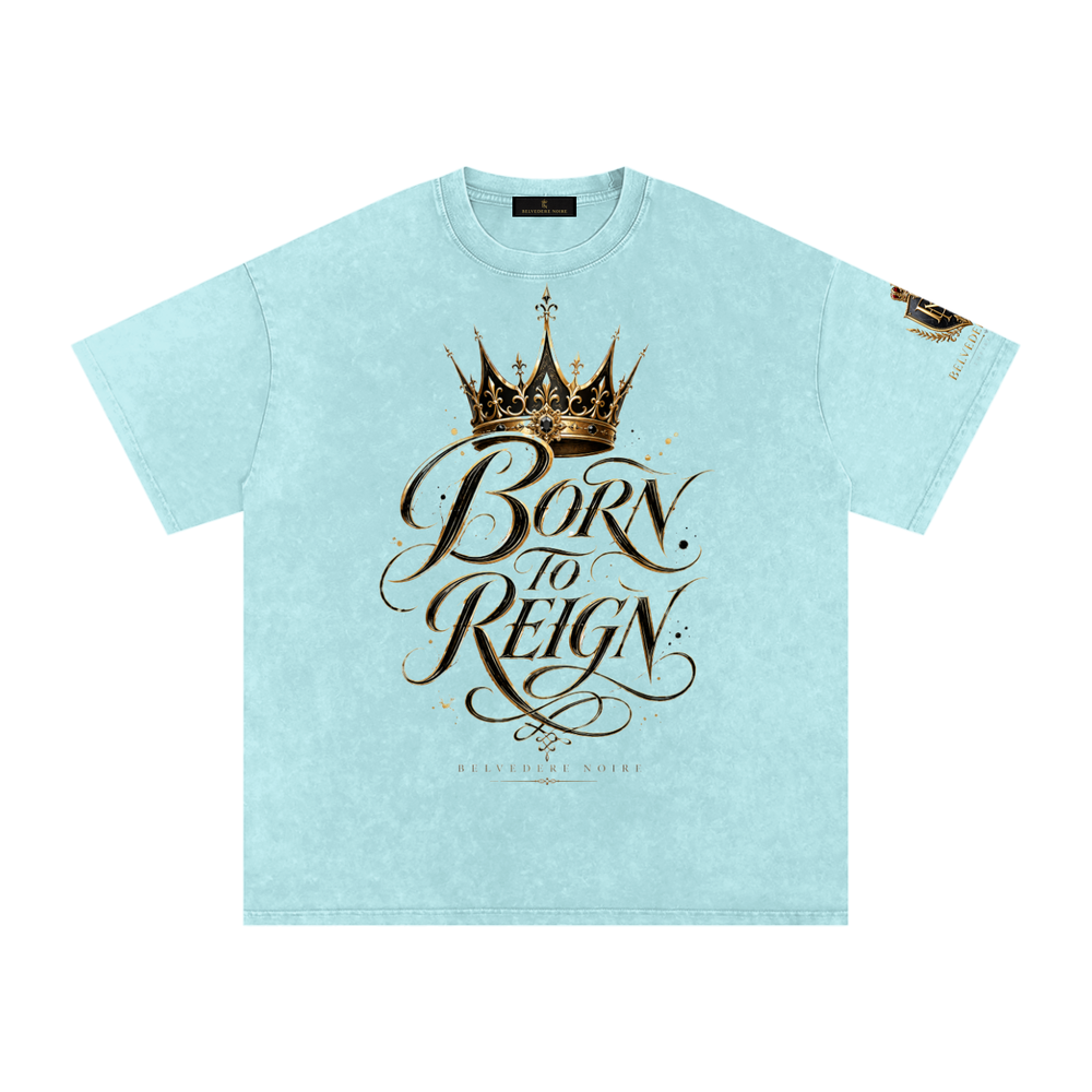 Belvedere Noire Snow Washed Oversized Cotton T-Shirt, 250gsm vintage wash tee, front view