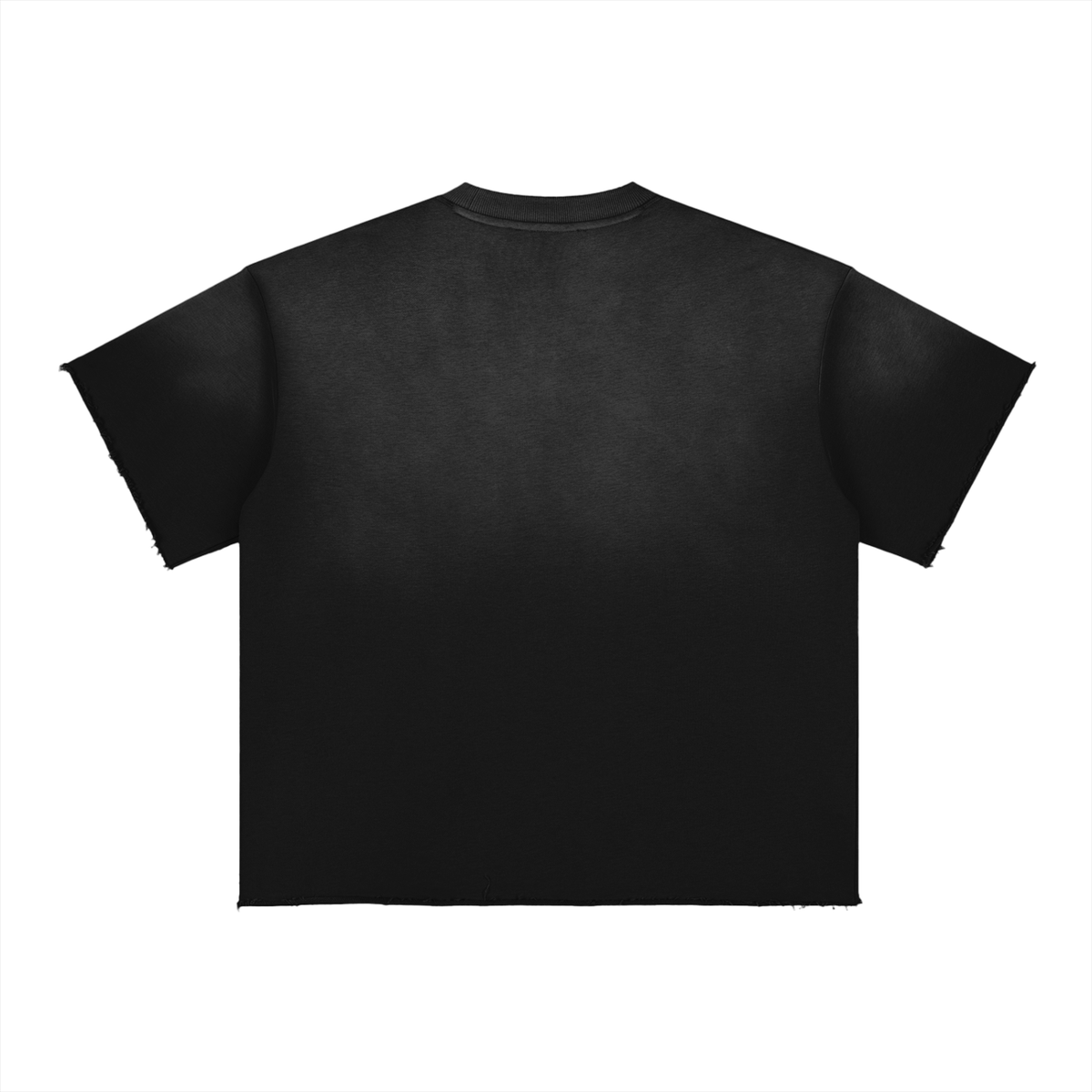 Belvedere Noire Sun Fade Raw Edge T-Shirt in black, back view